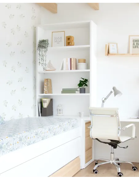 Étagère pour bureau double