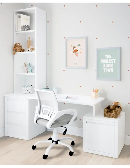 Bureau ado avec tiroirs + Module.  Linéaire