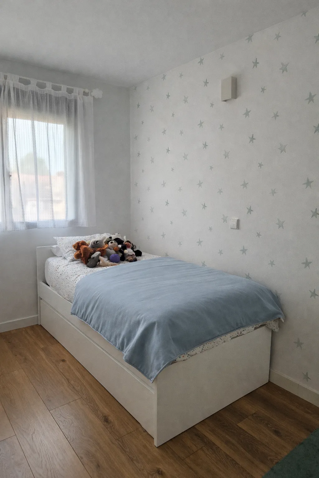 491.jpg
